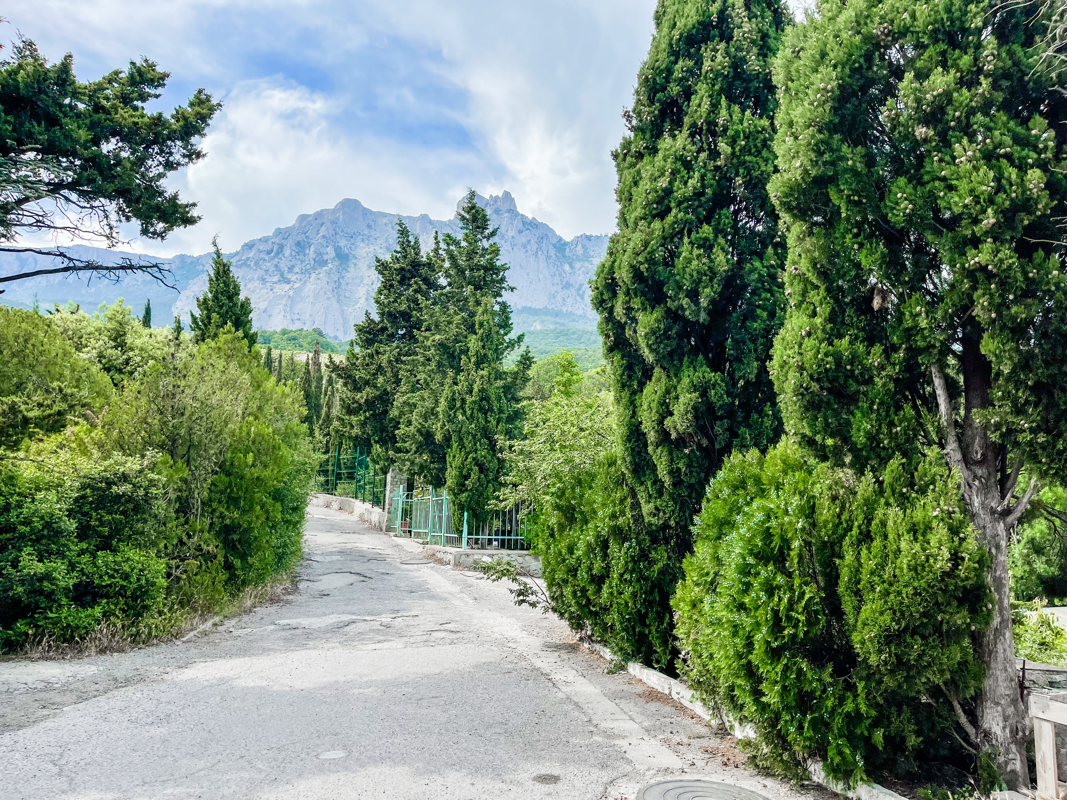 Фото Ренессанс