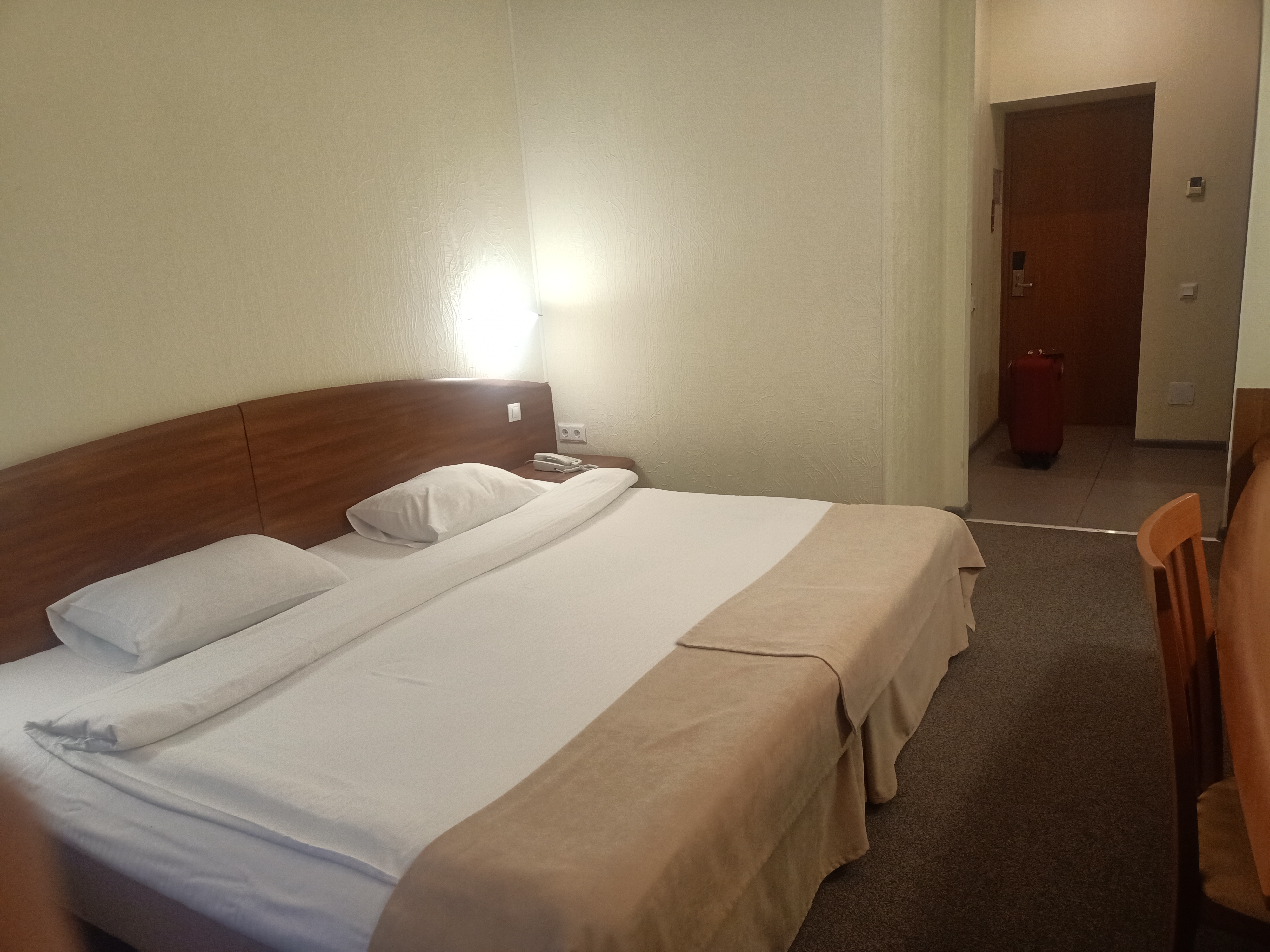 Фото Ампаро