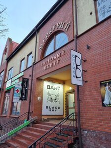 Black sov (Chernyakhovsk, Lenina Street, 18А), bar, pub