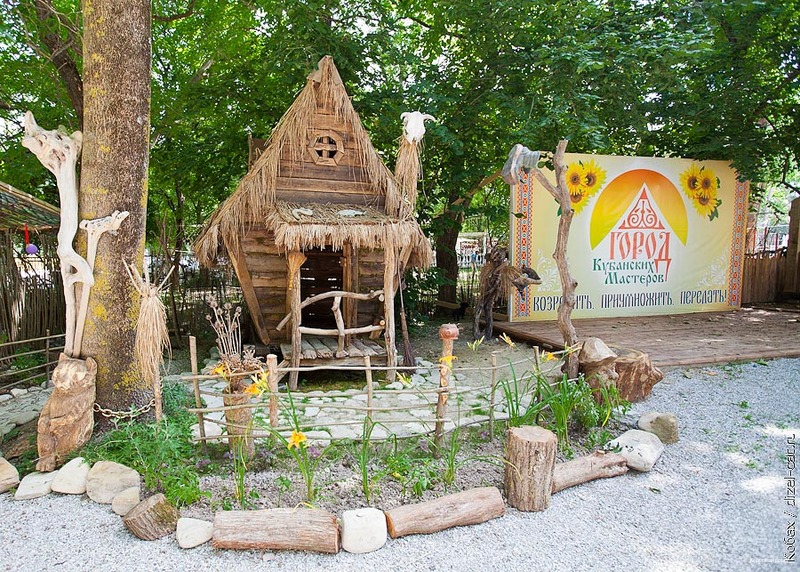 Фото Кедровая роща