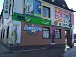 Geografiya (Sovetskaya ulitsa, 36), travel agency