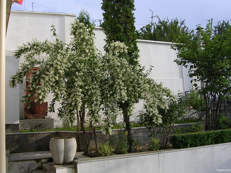 Фото Casanova Inn Boutique hotel