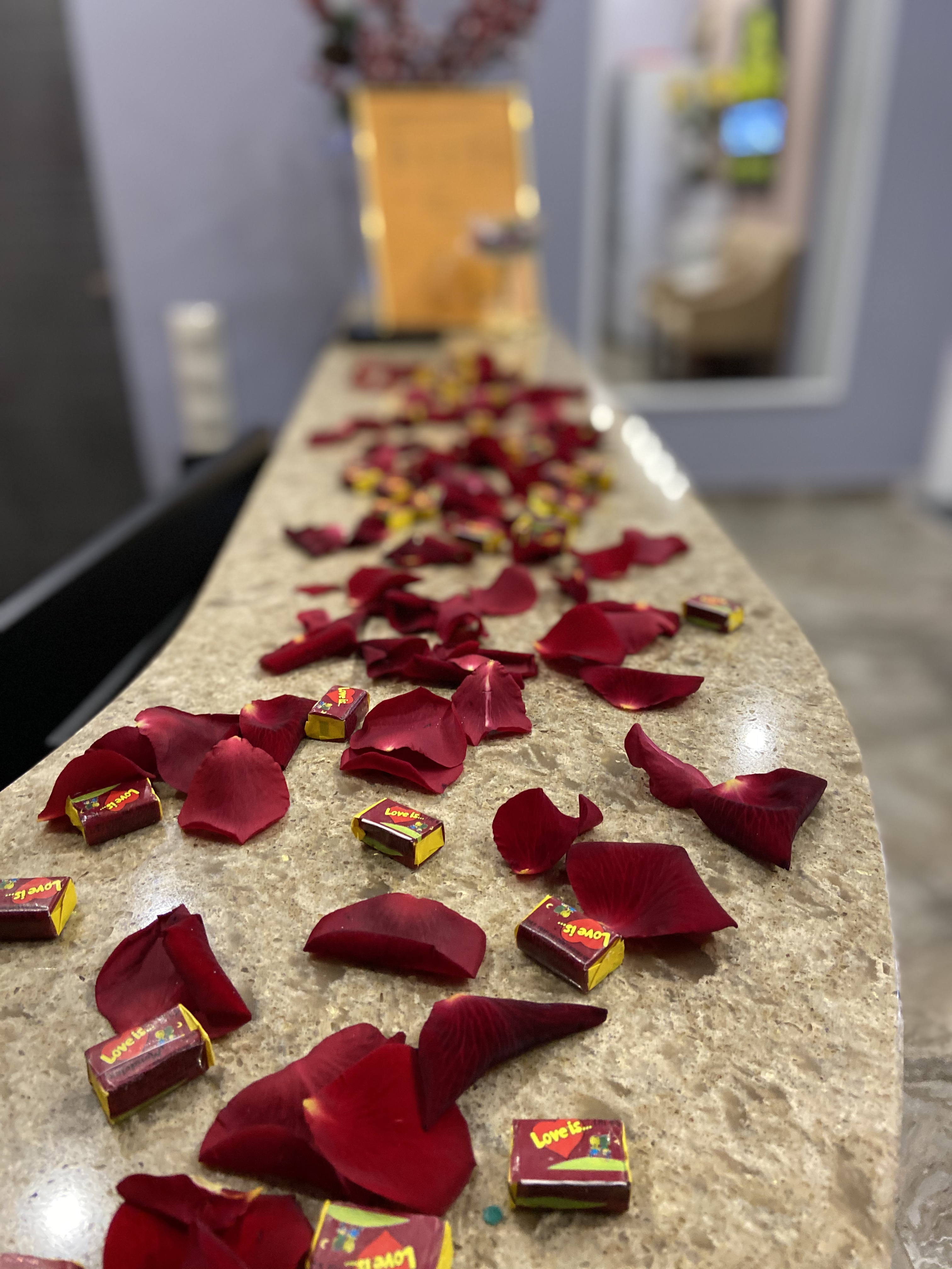 Фото Элитон Братеевская