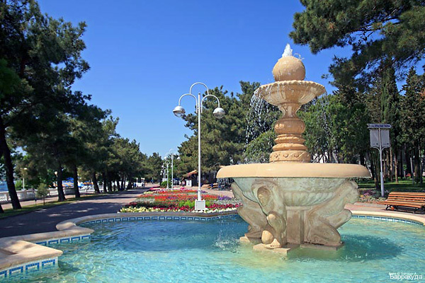 Фото Барракуда