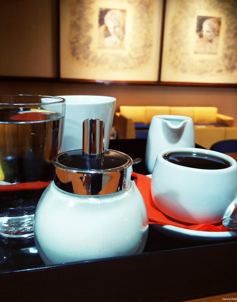 Фото Hotel Vienna