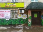 Акация (Спасская ул., 69, Киров), магазин цветов в Кирове