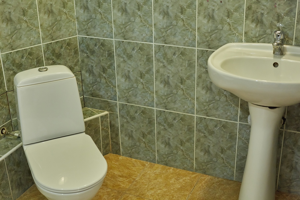 Фото Лесной