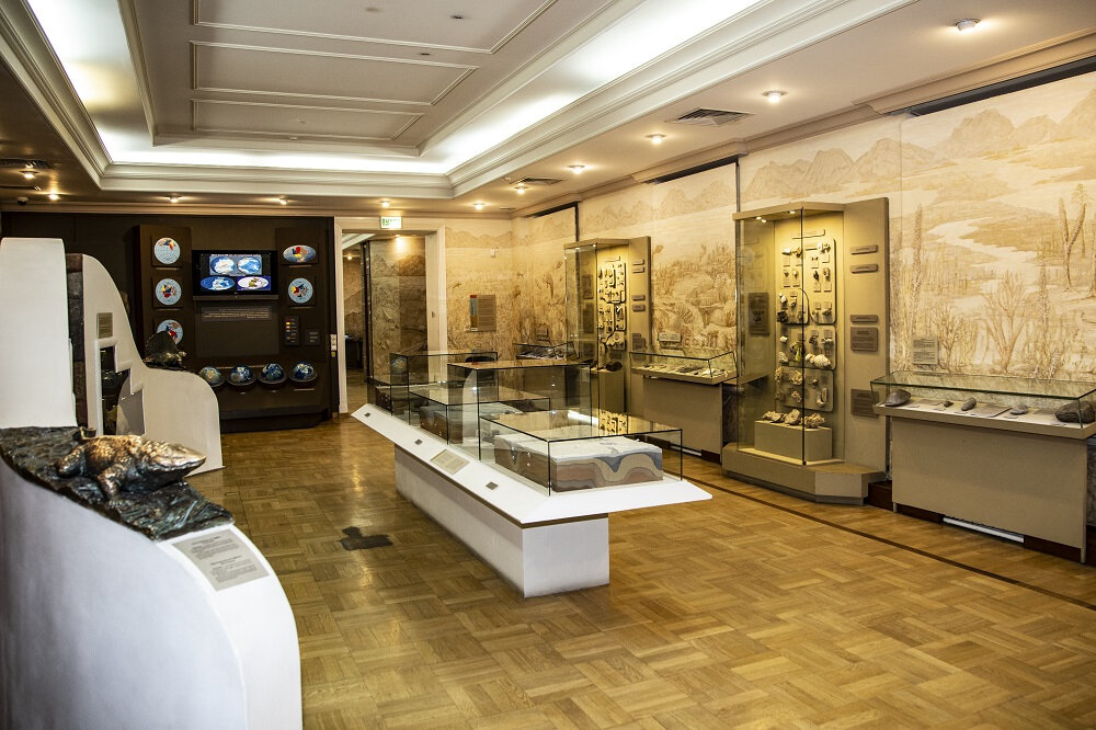 Музей естественной истории татарстана в казани