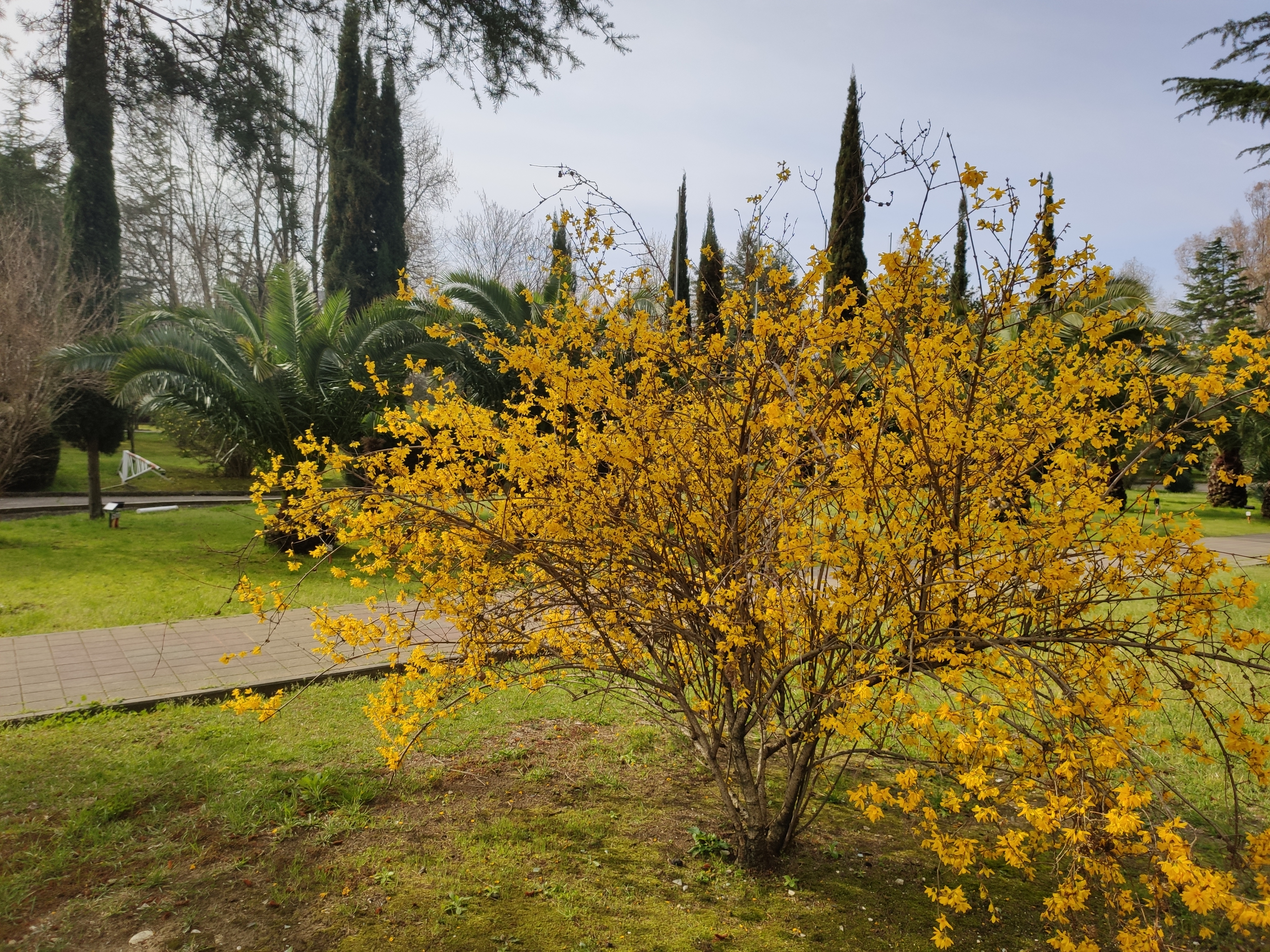 Фото Портобелло