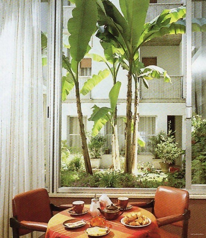 Фото Hotel Cavalluccio Marino