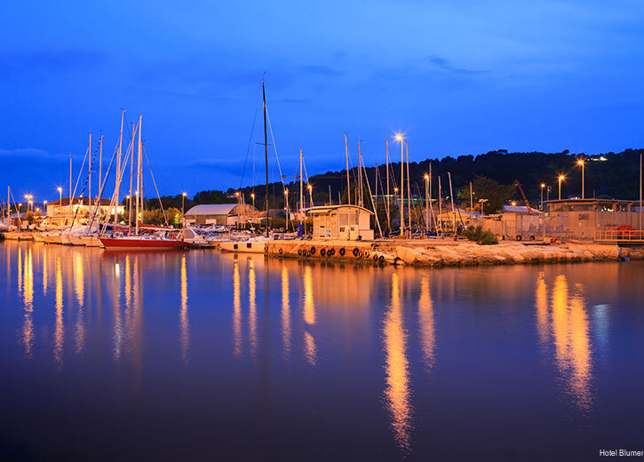 Фото Hotel Blumen