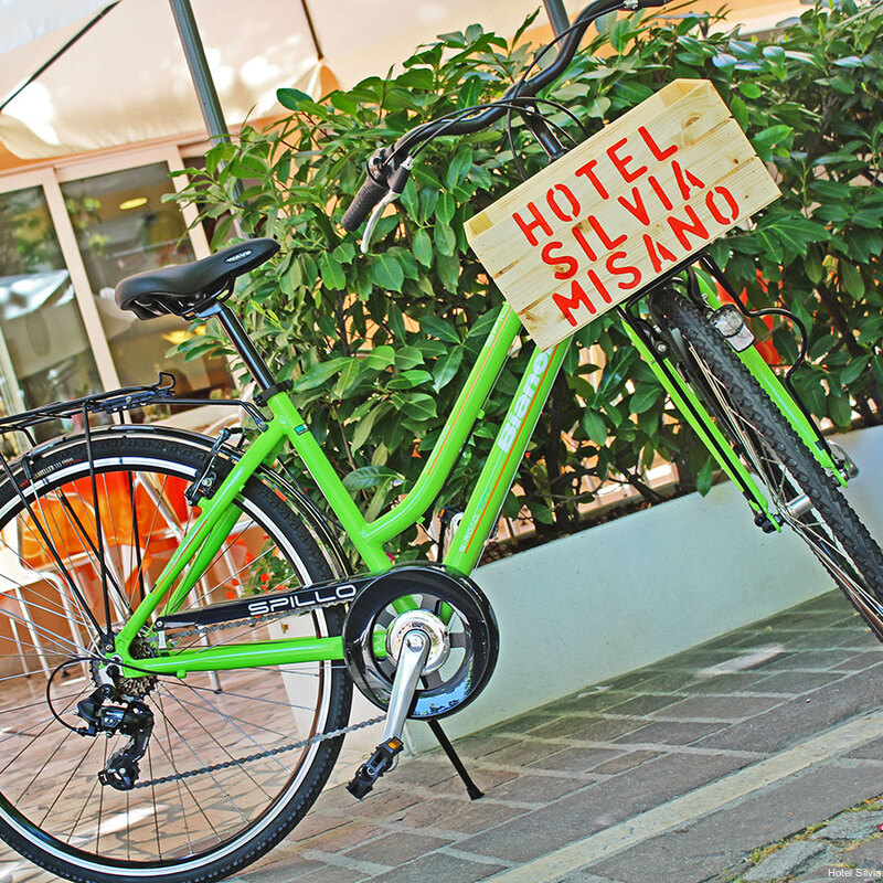 Фото Hotel Silvia Misano Adriatico