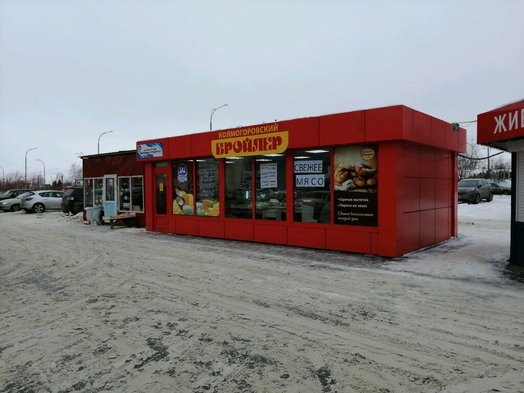 Яйцо и мясо птицы Колмогоровский бройлер, Кемерово, фото