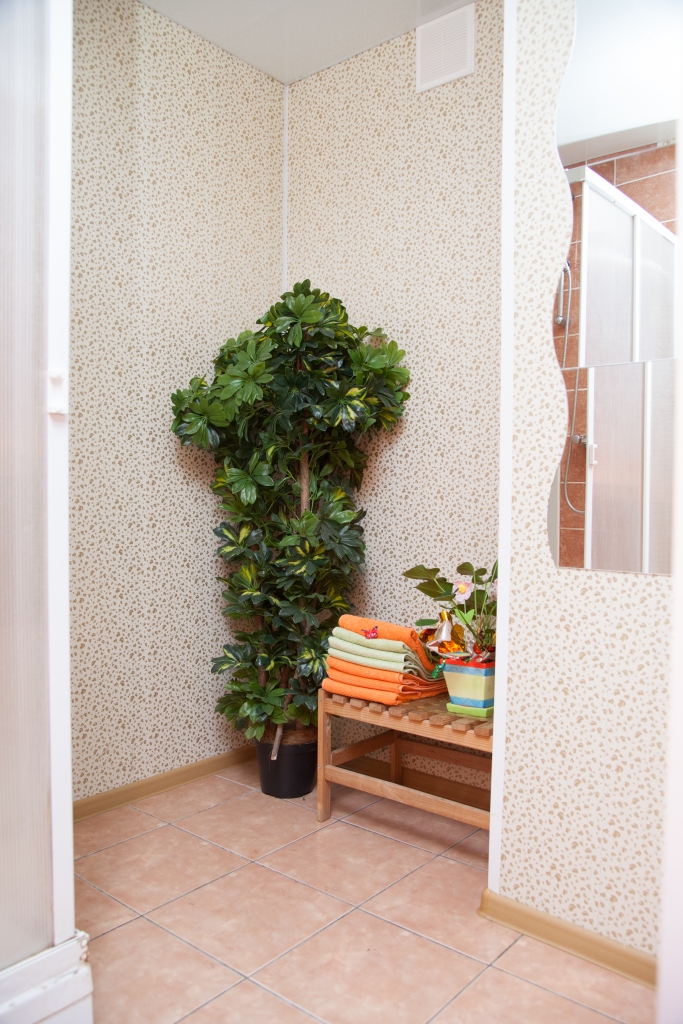 Фото Северянка