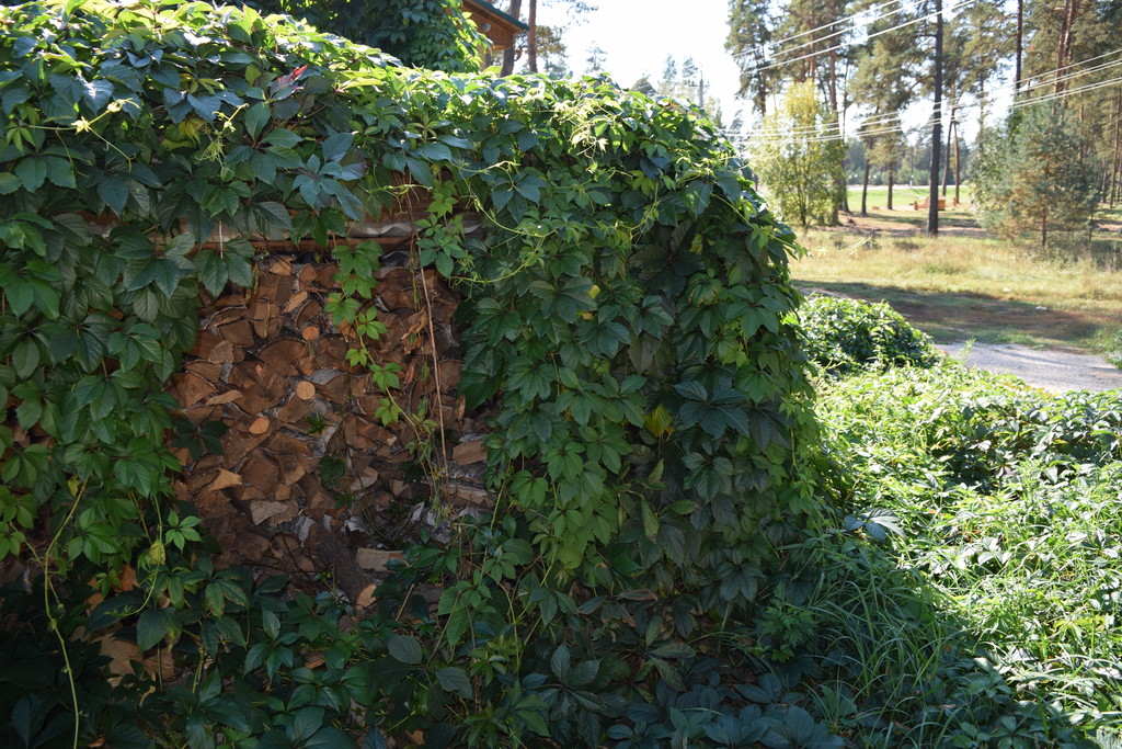 Фото Айсберг Угры