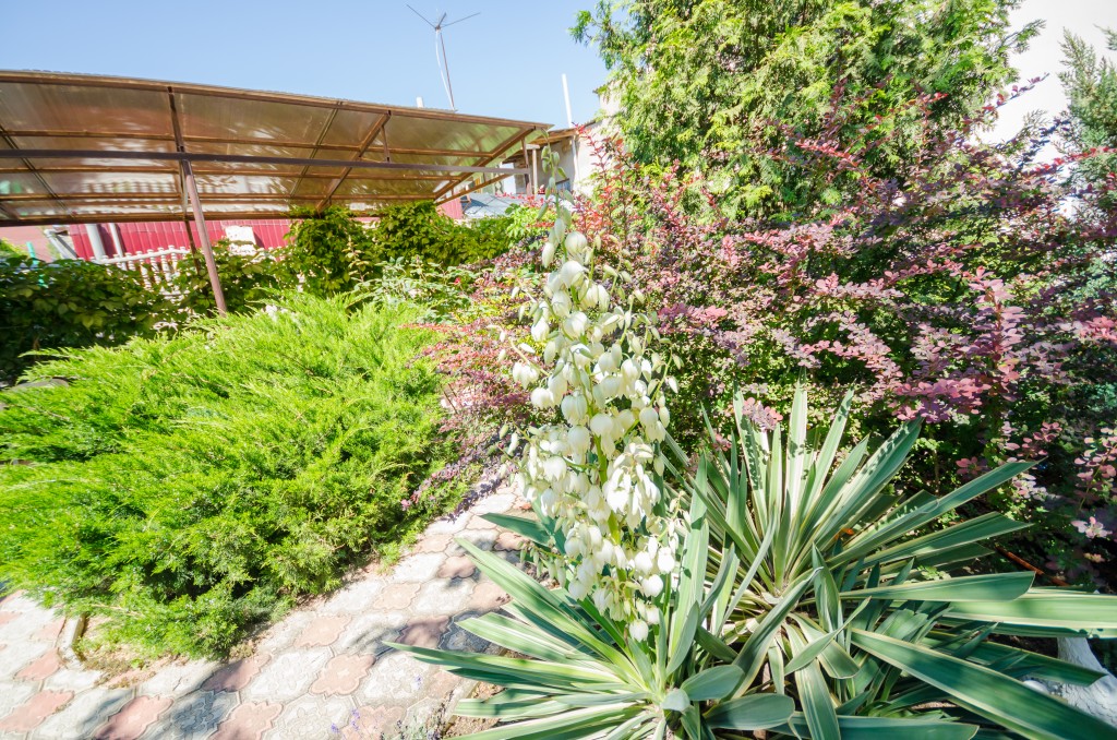 Фото Любимая