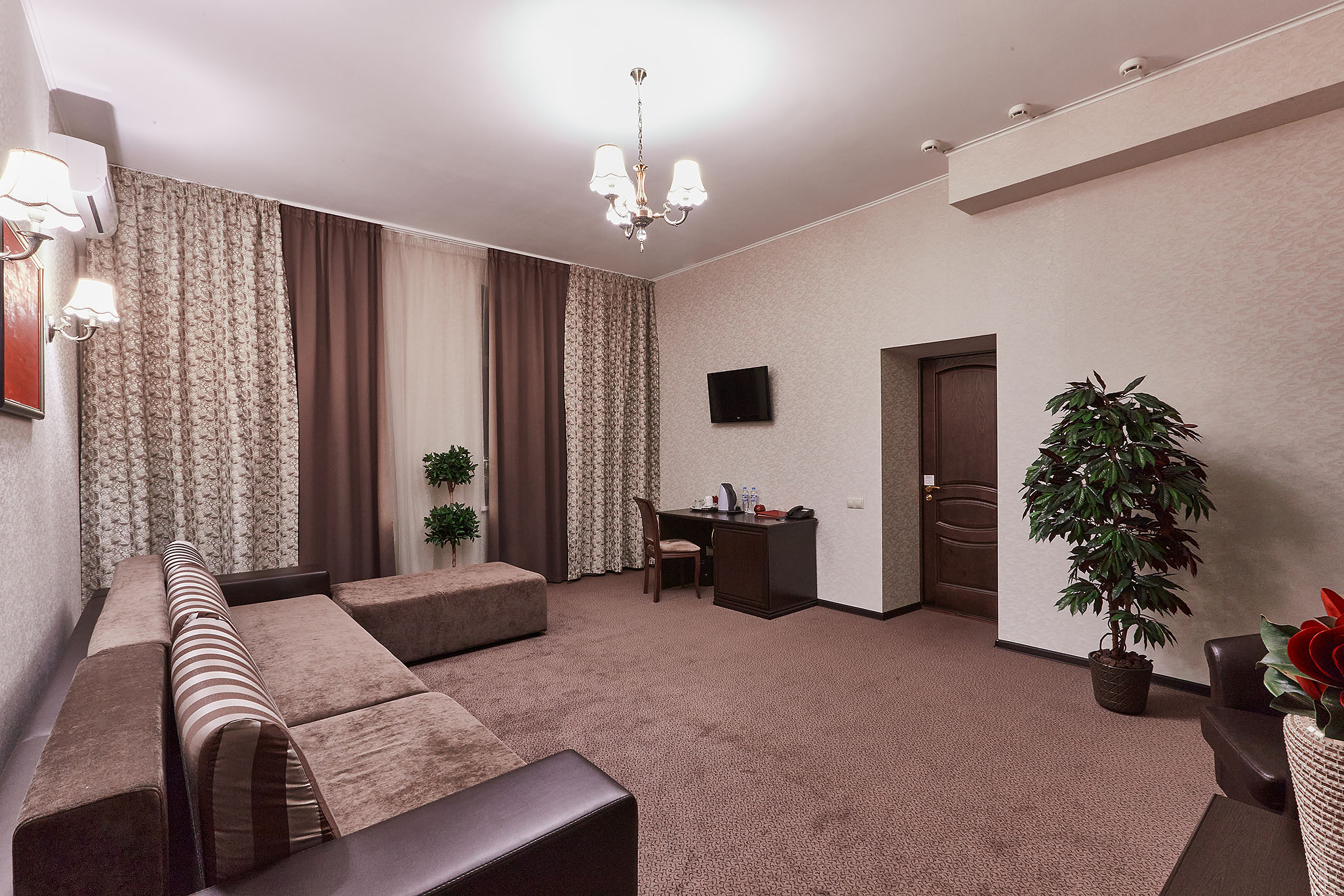 Фото Граф Толстой