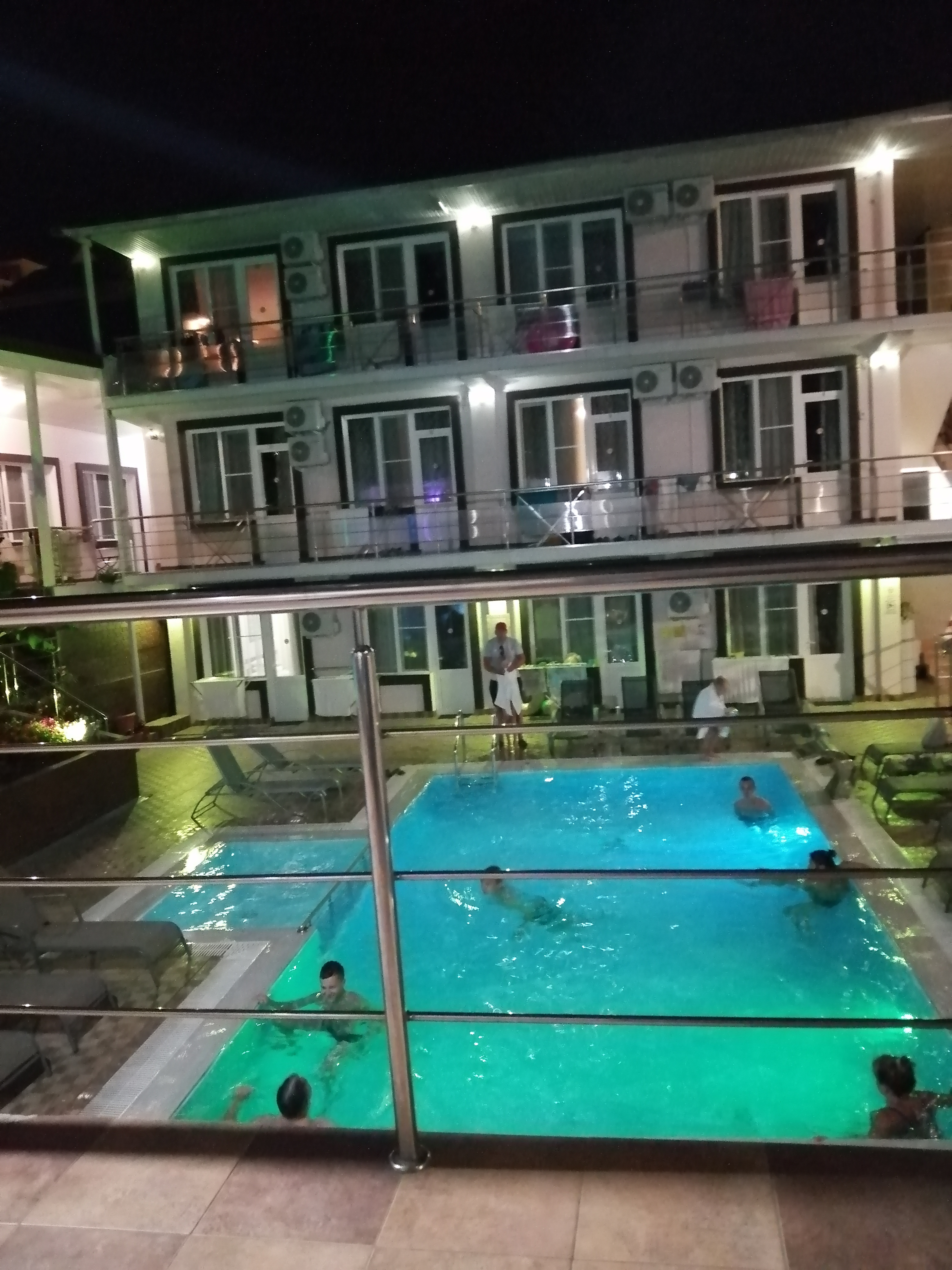 Фото Азалия Мимоза