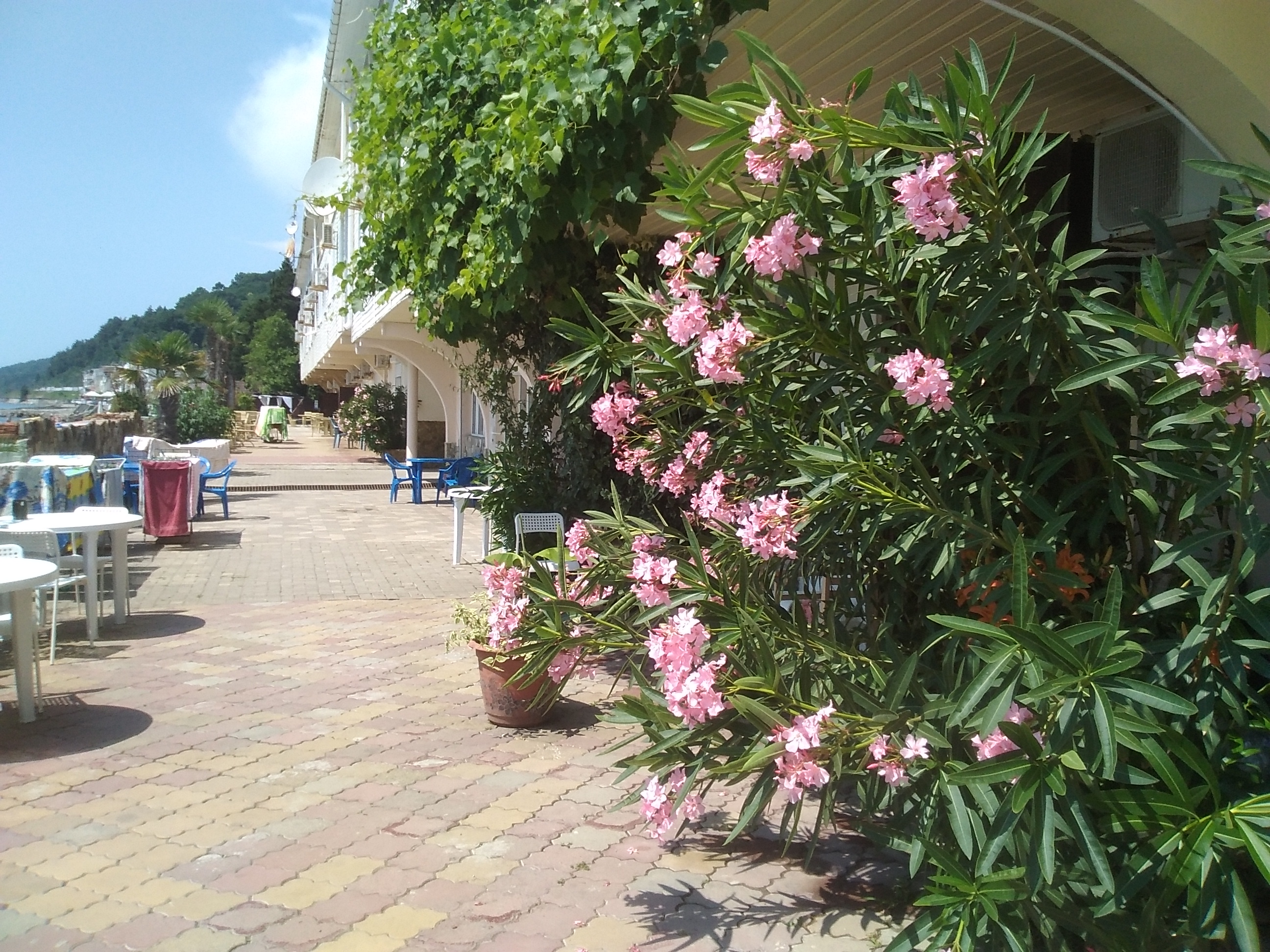 Фото Солнечный