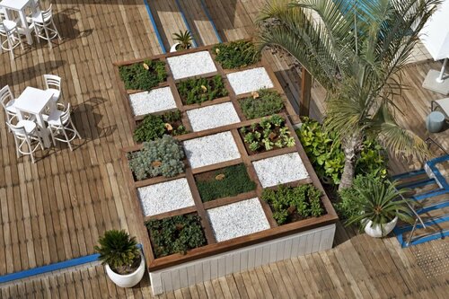 Гостиница Herbert Samuel The Reef Eilat в Эйлате