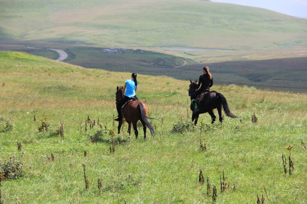 Баговская станица карта