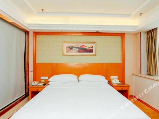 Фото Vienna Hotel