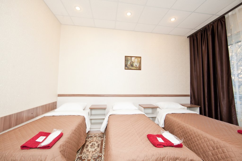 Фото Ладомир