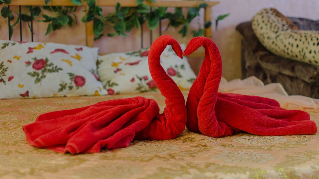 Фото Гостевой дом Востряково