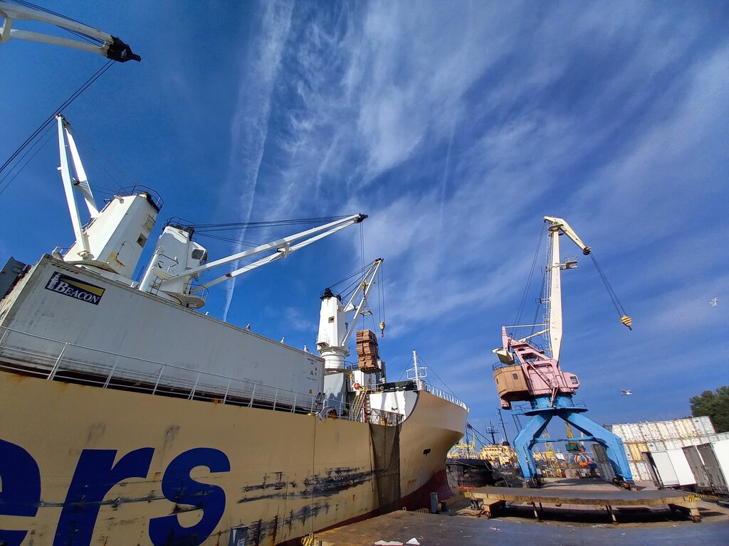 Портал мгс терминал карго план