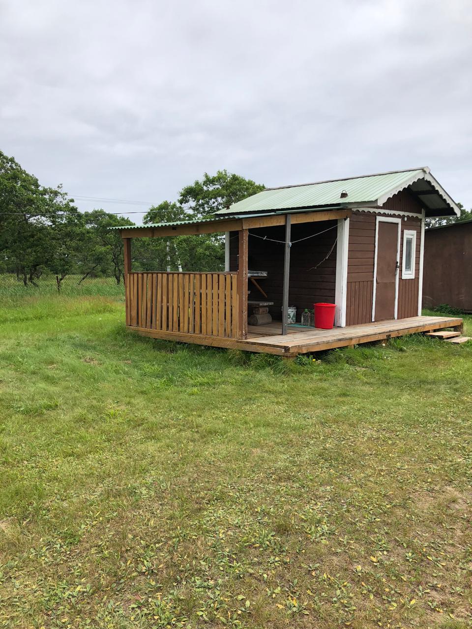 Фото Янтарная