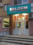 Bloom (Пионерская ул., 5В), магазин цветов в Тамбове