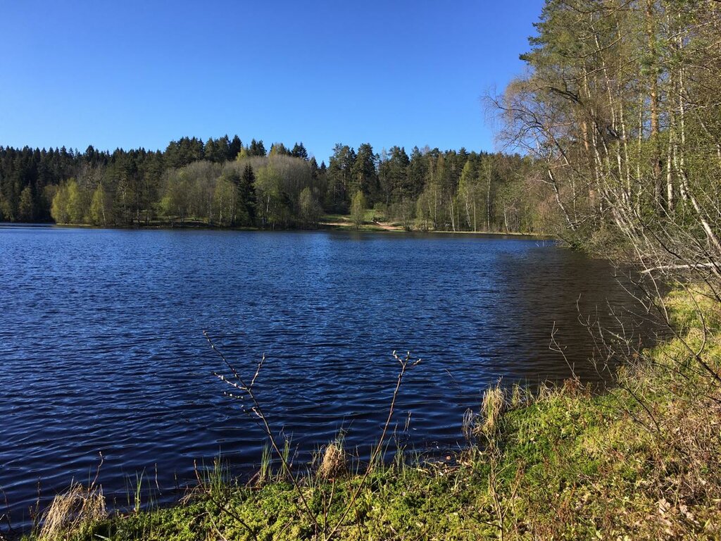 Гарболово санкт петербург