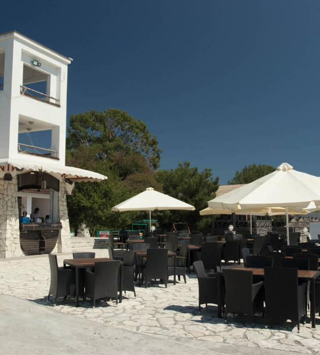 Фото Самшитовая роща