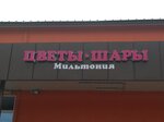 Магазин цветов и шаров Мильтония (posyolok Otradnoye, Promyshlennaya ulitsa, 4), flower shop