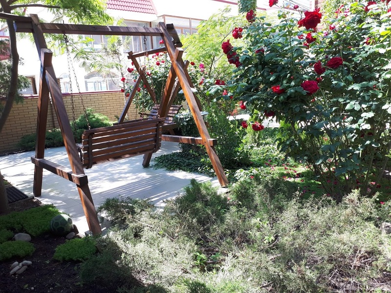 Фото Магнолия