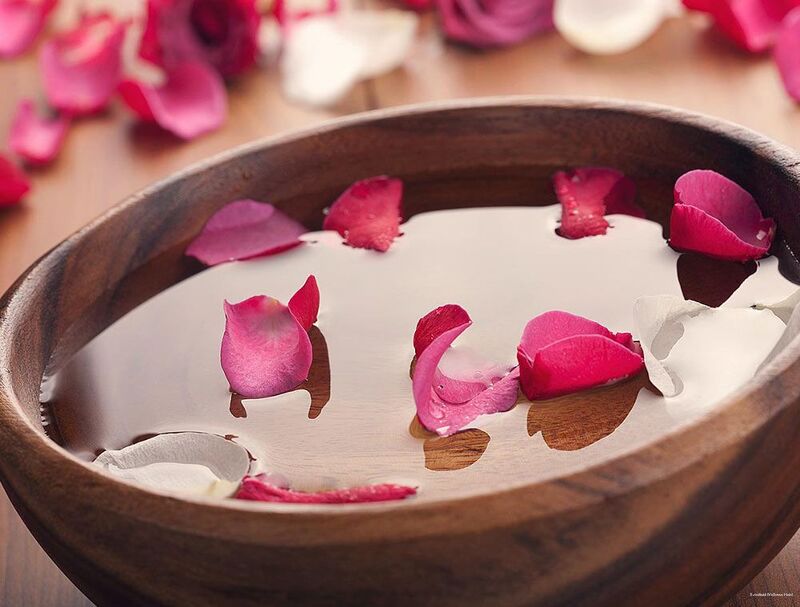 Фото Wellness Hotel Szindbád