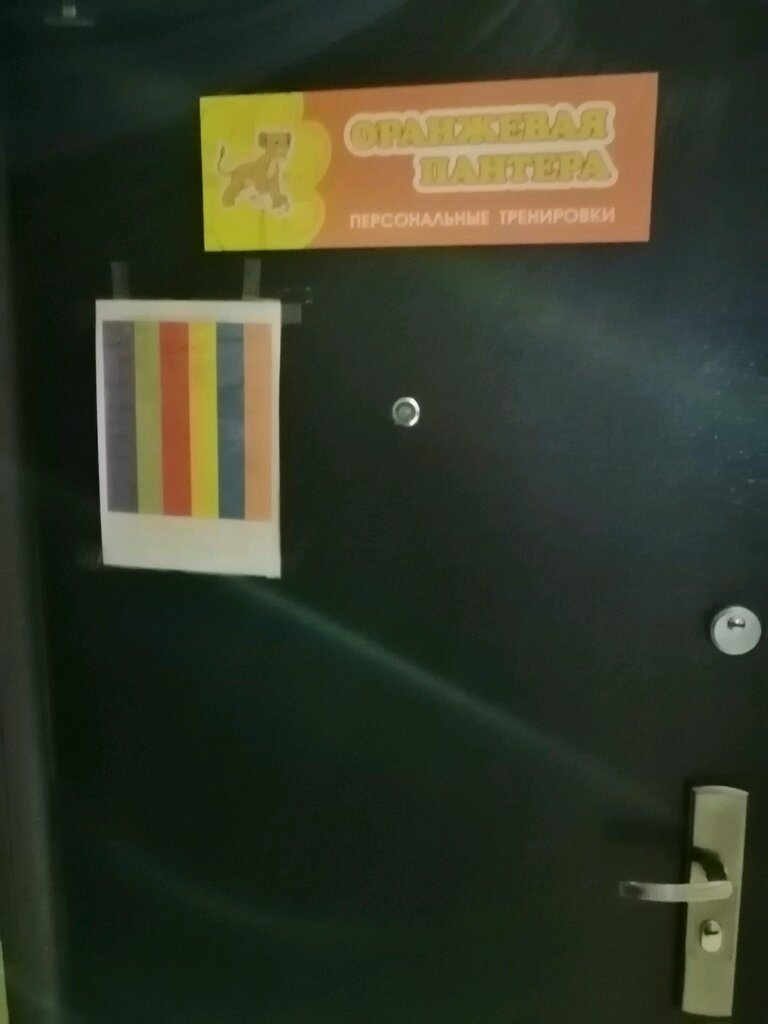 Centro de desarrollo infantil Tsentr fizicheskogo razvitiya Oranzhevaya pantera, , foto