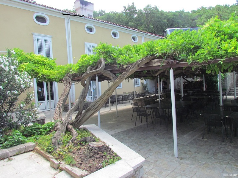 Фото Hotel Neboder