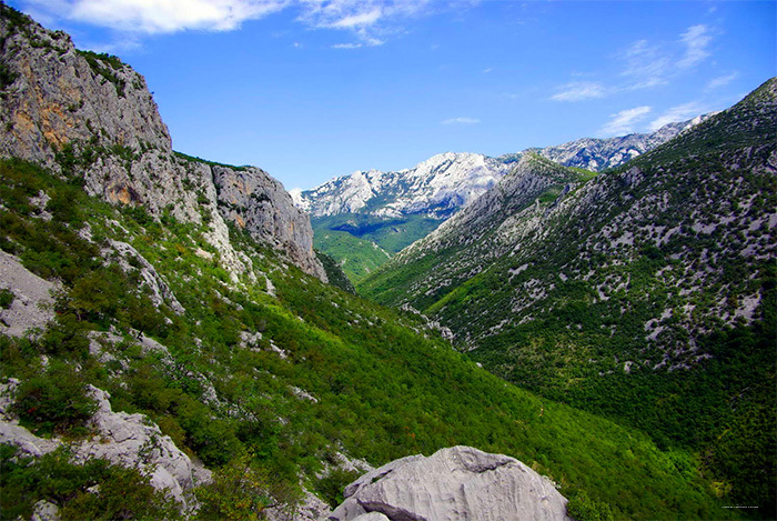 Фото Sunnyside Apartments Petrčane