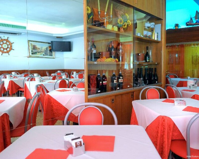 Фото Hotel Fortuna