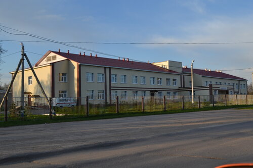 Hospital para adultos Новомичуринская районная больница, поликлиника Пронск, , foto