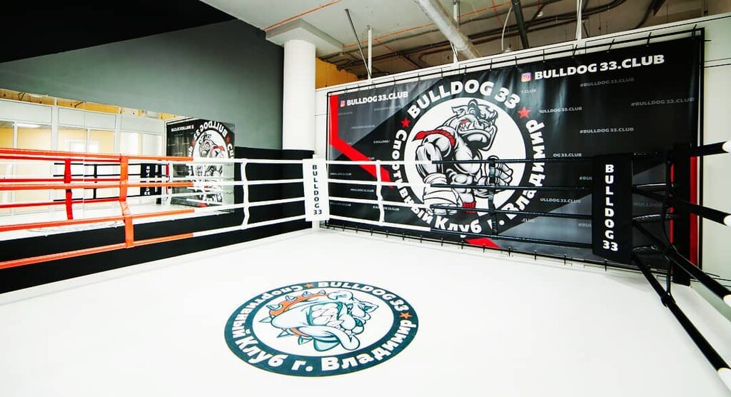 Sports school Bulldog 33, Vladimir, photo