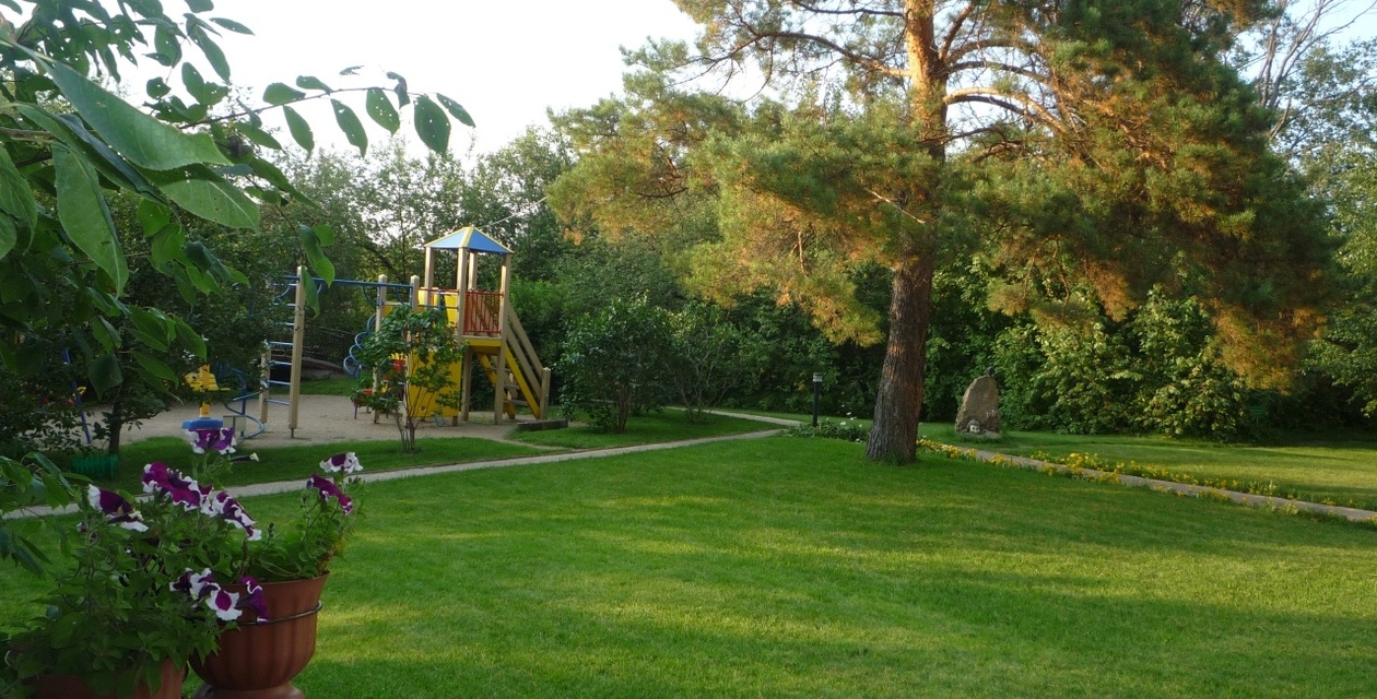 Фото Еловое