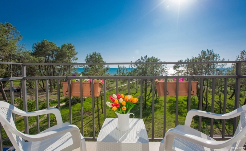 Фото Iveria Elli Hotel