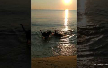 Фото San Francisco Spiaggia