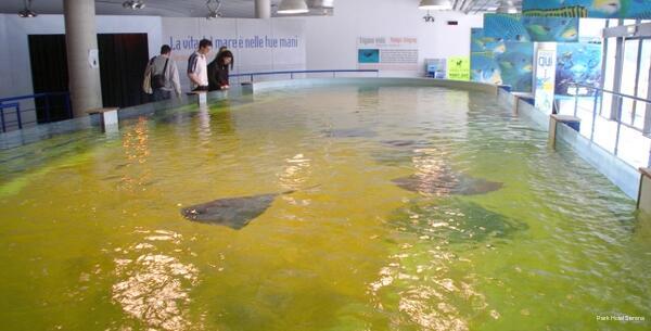 Фото Park Hotel Serena