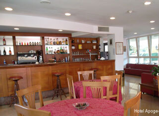 Фото Hotel Apogeo