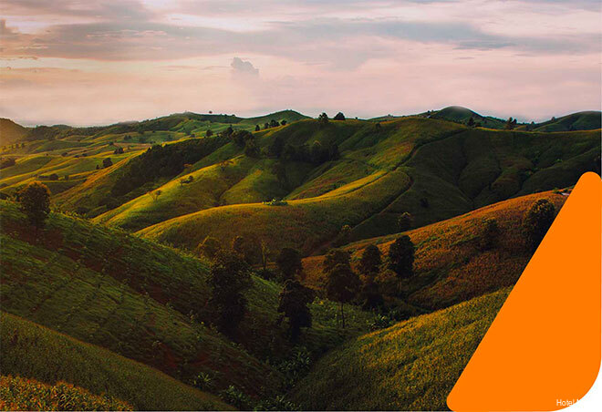 Фото Hotel Majorca