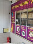 ДиВа (Polyustrovskiy Avenue, 45Б), pet shop