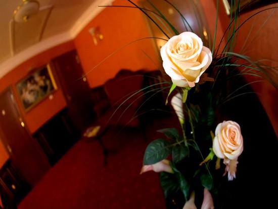 Фото Екатеринин двор